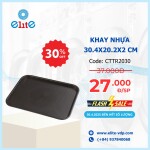 Khay Nhựa 30.4x20.2x2cm