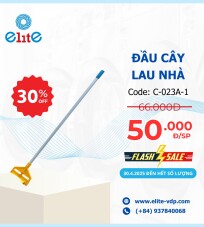 Đầu Cây Lau Nhà