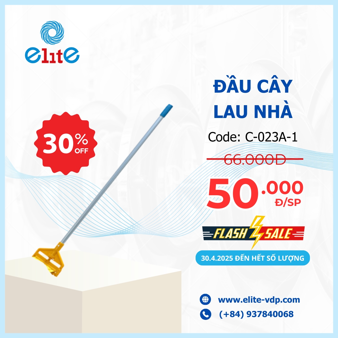 Đầu Cây Lau Nhà